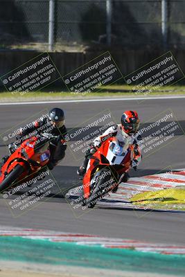 media/Mar-17-2024-Fastrack Riders (Sun) [[c7d6f8c14c]]/Level 2/Turn 6/